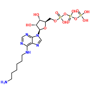 N(6)-氨基己基腺苷酸三磷酸结构式_53602-93-0结构式