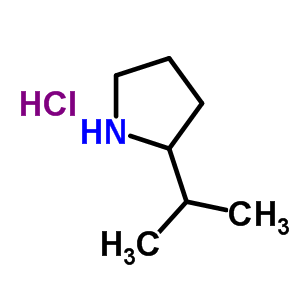 2-(甲基乙基)吡咯烷盐酸盐结构式_540526-01-0结构式