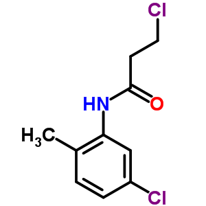 3-氯-n-(5-氯-2-甲基苯基)丙酰胺结构式_544682-32-8结构式