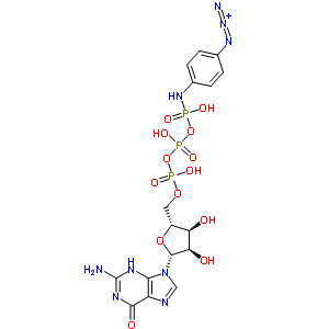 GTP gamma-4-叠氮基苯胺结构式_60869-76-3结构式