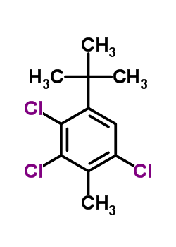 2,3,6-三氯-4-叔丁基甲苯结构式_61468-36-8结构式