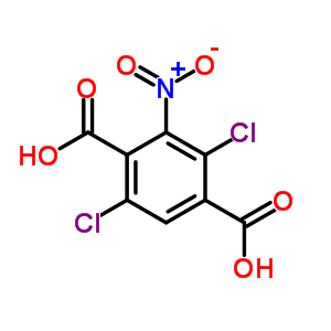 2,5-二氯-3-硝基-苯-1,4-二羧酸结构式_77350-06-2结构式